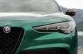 Alfa Romeo Stelvio Q4 Quadrifoglio „100 Anniversario“ | 1 of 100 Grün - thumbnail 11