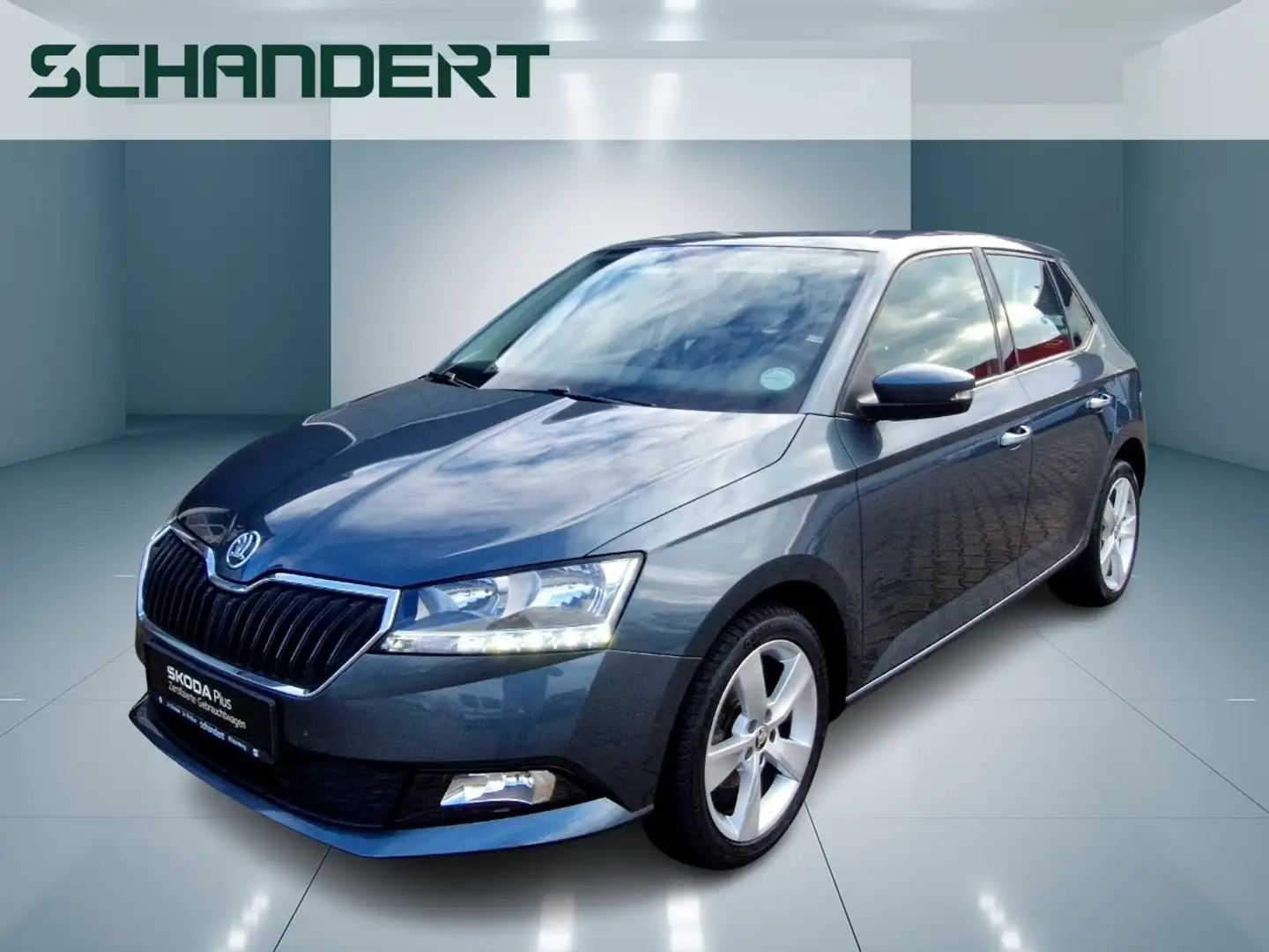 Skoda Fabia 1.0 MPI Cool Klima Sitzhzg PDC DAB Grau - 1