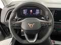 CUPRA Ateca 2.0 TSI 140kW (190 PS) 7-Gang DSG 4Drive 140 kW... Grau - thumbnail 16