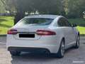 Jaguar XF 2,2D 163cv 11-2014 Premium a 4990Euro Bianco - thumbnail 5