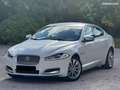 Jaguar XF 2,2D 163cv 11-2014 Premium a 4990Euro Bianco - thumbnail 1
