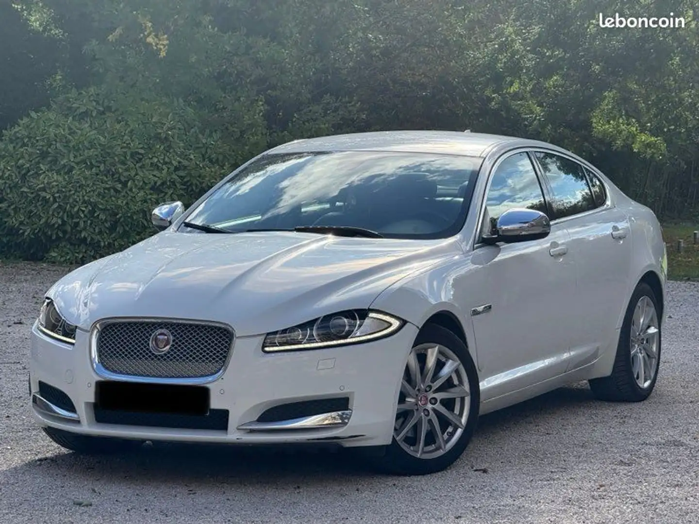 Jaguar XF 2,2D 163cv 11-2014 Premium a 4990Euro Bianco - 1