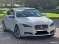 Jaguar XF 2,2D 163cv 11-2014 Premium a 4990Euro Bianco - thumbnail 2