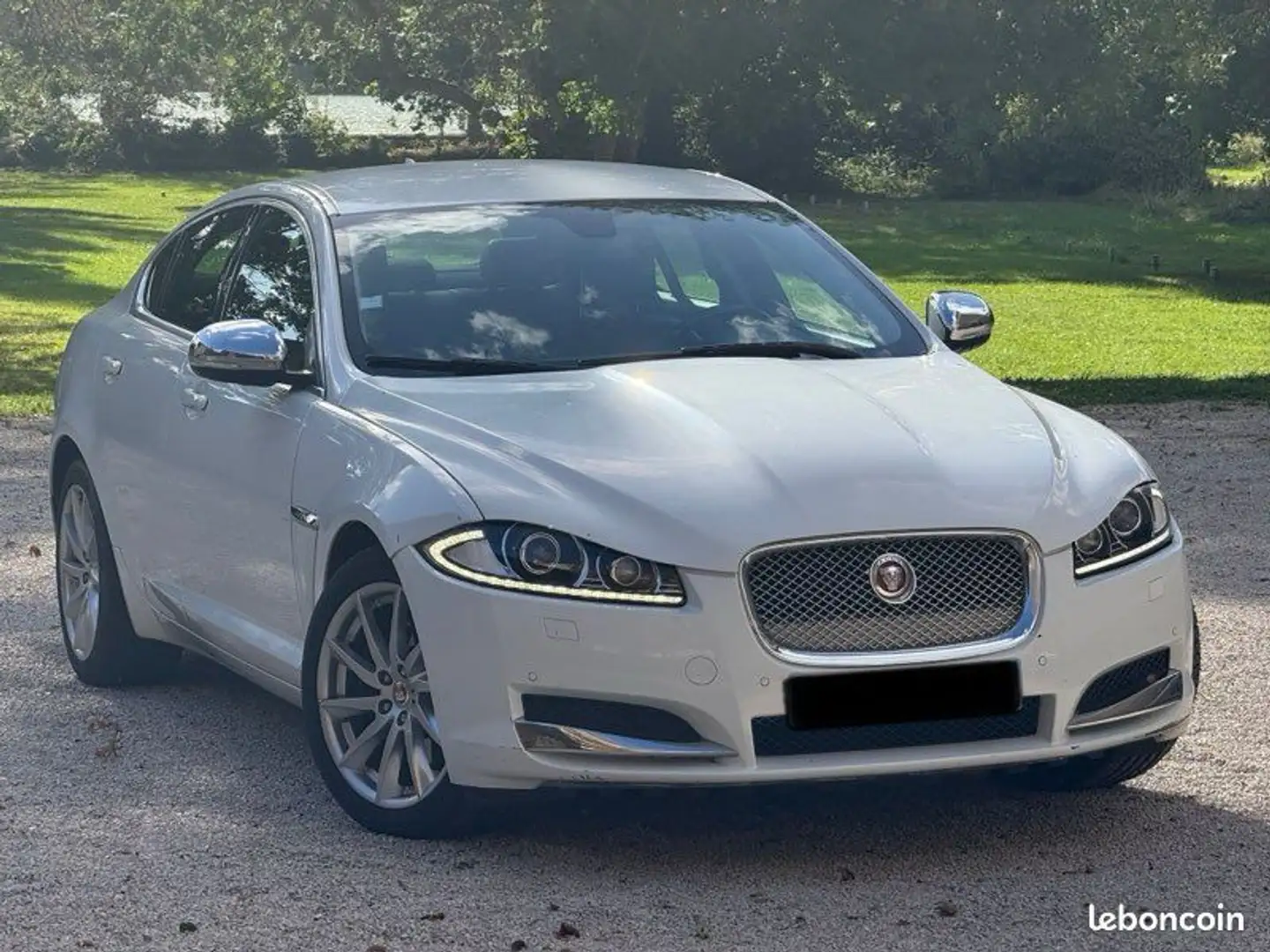 Jaguar XF 2,2D 163cv 11-2014 Premium a 4990Euro Bianco - 2