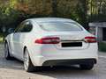 Jaguar XF 2,2D 163cv 11-2014 Premium a 4990Euro Bianco - thumbnail 4