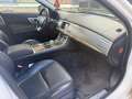 Jaguar XF 2,2D 163cv 11-2014 Premium a 4990Euro Bianco - thumbnail 3