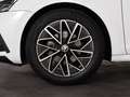 Skoda Octavia wagon 2.0 tdi evo sportline 150cv dsg Blanc - thumbnail 20