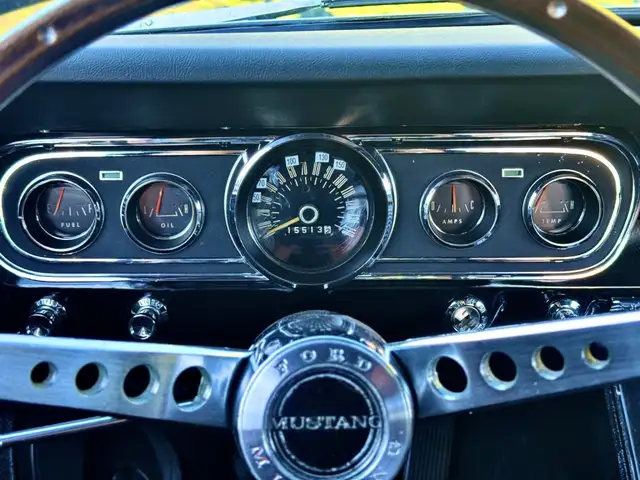 Ford Mustang view 13