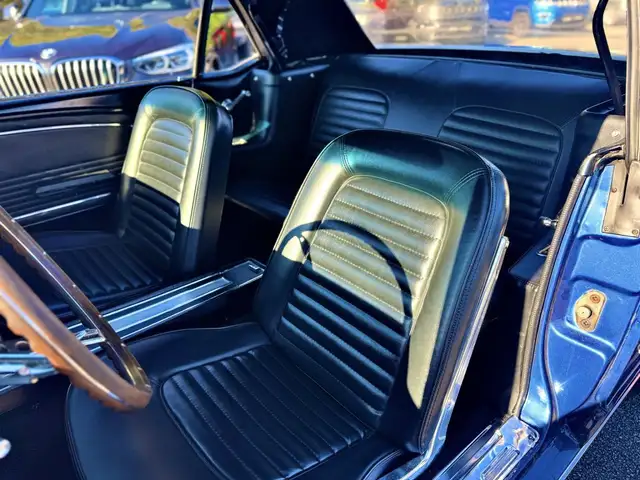 Ford Mustang view 11