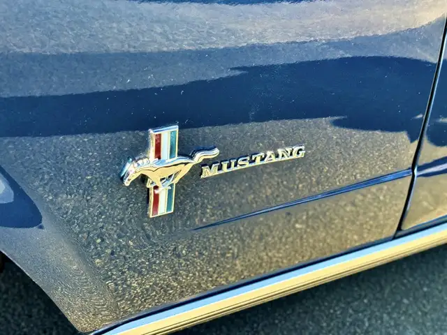 Ford Mustang view 5