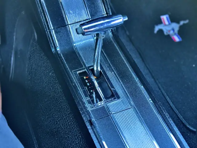 Ford Mustang view 14