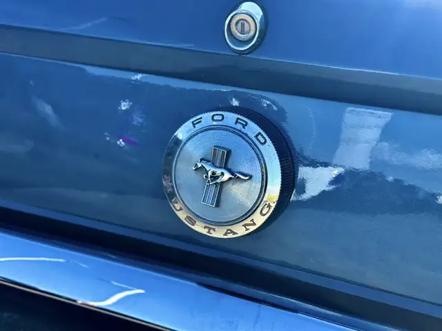 Ford Mustang view 9