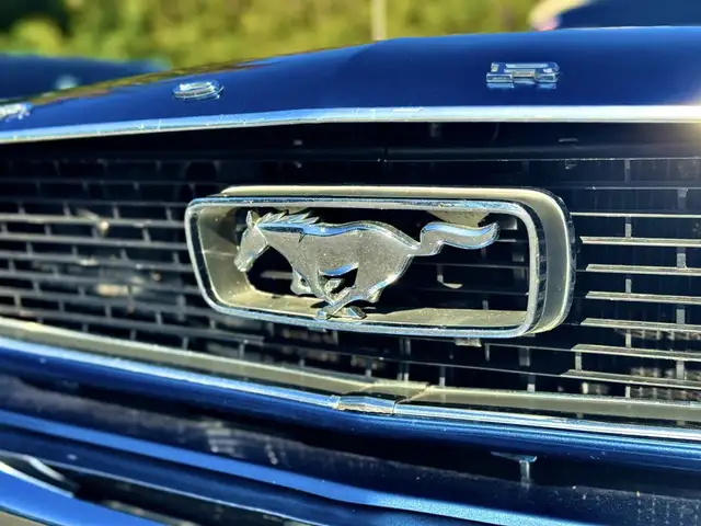 Ford Mustang view 3