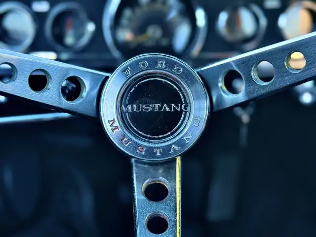Ford Mustang view 12