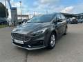 Ford S-Max Titanium Aut. *AHK/ Standheizung/ LED* Grau - thumbnail 1