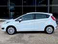 Ford Fiesta Fiesta 5p 1.2 BENZ 60 CV ADATTA NEOPATENTATI Bianco - thumbnail 8