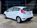 Ford Fiesta Fiesta 5p 1.2 BENZ 60 CV ADATTA NEOPATENTATI Bianco - thumbnail 7