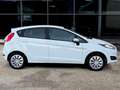 Ford Fiesta Fiesta 5p 1.2 BENZ 60 CV ADATTA NEOPATENTATI Bianco - thumbnail 6
