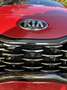 Kia Sportage 1.6 crdi GT Line Premium Pack 2wd 136cv dct7 Rosso - thumbnail 3