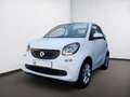 smart forTwo cabrio 66kW passion Navi SHZ GJR Klima Weiß - thumbnail 2