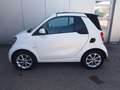 smart forTwo cabrio 66kW passion Navi SHZ GJR Klima Weiß - thumbnail 26