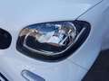 smart forTwo cabrio 66kW passion Navi SHZ GJR Klima Weiß - thumbnail 16