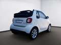 smart forTwo cabrio 66kW passion Navi SHZ GJR Klima Weiß - thumbnail 4
