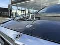 Mercedes-Benz S 400 Classe S d 4MATIC Berline Fascination FL Grau - thumbnail 7