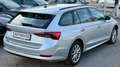 Skoda Octavia 2,0 TDI 4x4 Ambition DSG Grau - thumbnail 26