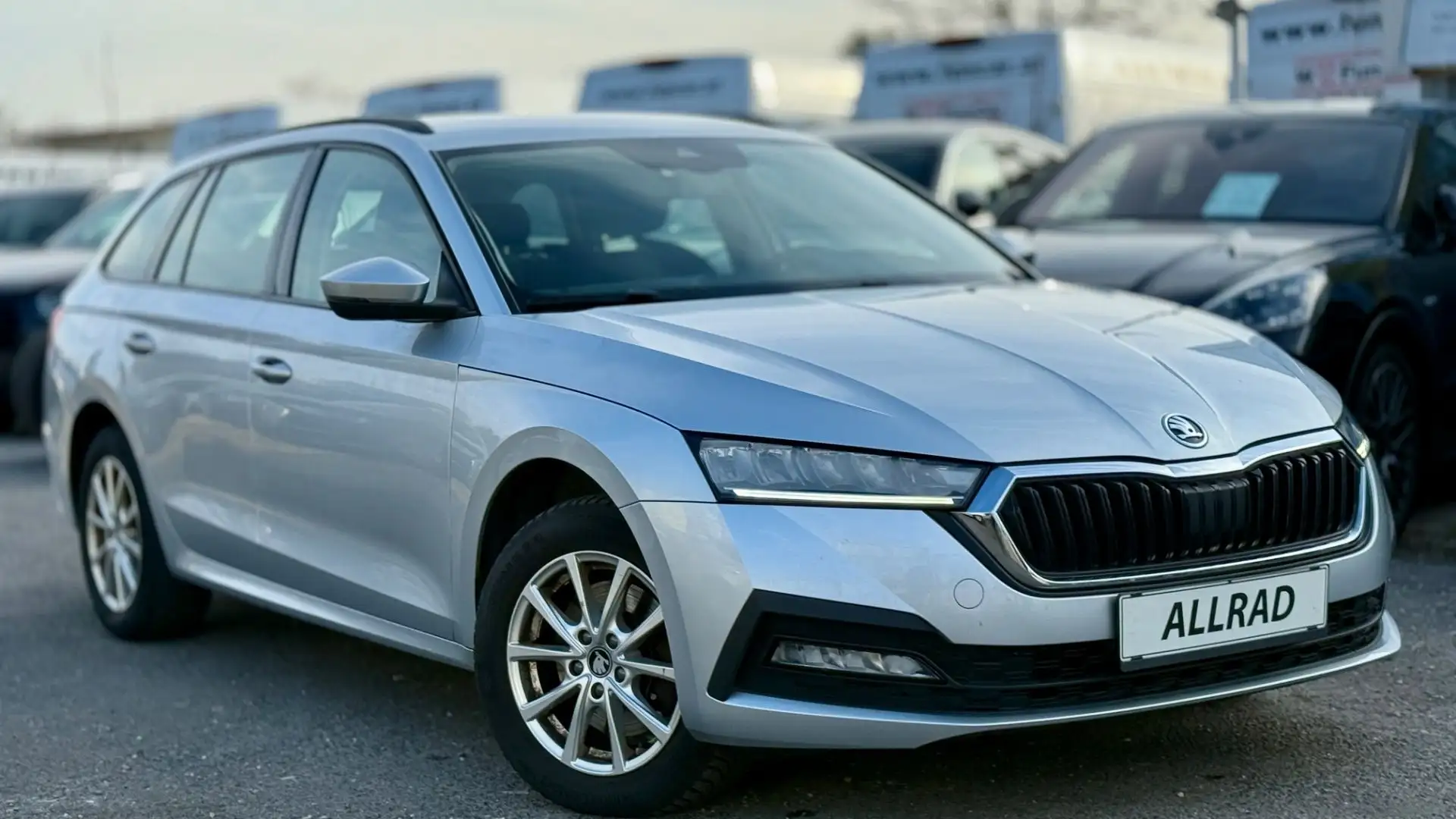 Skoda Octavia 2,0 TDI 4x4 Ambition DSG Grau - 2