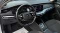 Skoda Octavia 2,0 TDI 4x4 Ambition DSG Grau - thumbnail 7