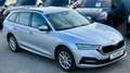 Skoda Octavia 2,0 TDI 4x4 Ambition DSG Grau - thumbnail 25