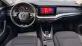 Skoda Octavia 2,0 TDI 4x4 Ambition DSG Grau - thumbnail 11