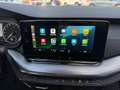 Skoda Octavia 2,0 TDI 4x4 Ambition DSG Grau - thumbnail 18