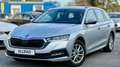 Skoda Octavia 2,0 TDI 4x4 Ambition DSG Grau - thumbnail 1