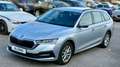 Skoda Octavia 2,0 TDI 4x4 Ambition DSG Grau - thumbnail 24