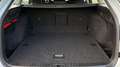 Skoda Octavia 2,0 TDI 4x4 Ambition DSG Grau - thumbnail 9