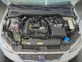 SEAT Ibiza 1.0 TSI FR+Black Edition+LED+NAVI+APP+RFK Weiß - thumbnail 17