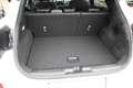 Ford Puma 1.0 EcoBoost 155 PK Hybrid ST-Line X Automaat WINT Wit - thumbnail 38