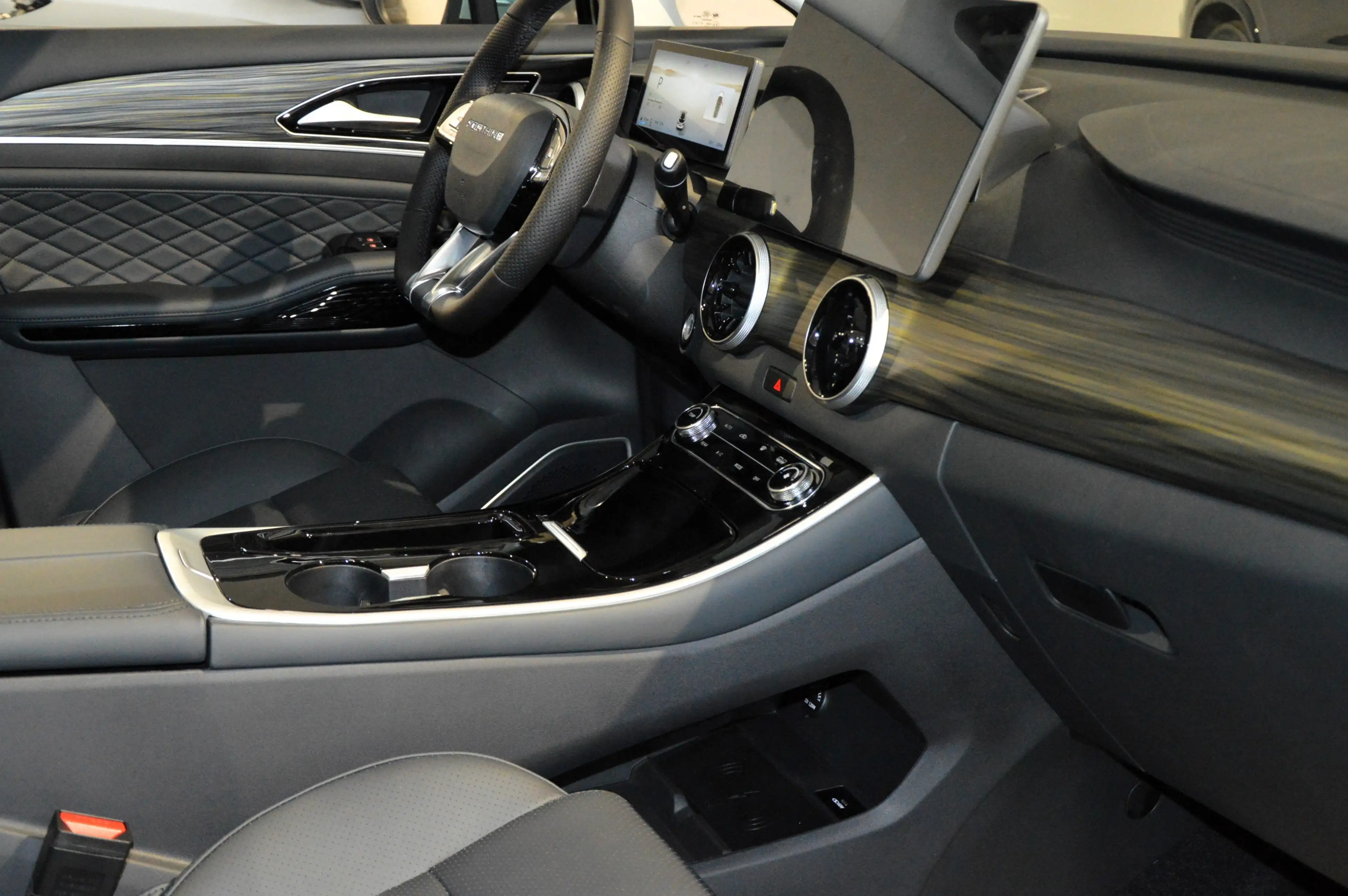 Forthing Forthing 4 PHEV — photo 7