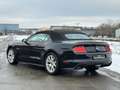 Ford Mustang 5.0 TI-VCT V8 Convertible GT Schwarz - thumbnail 6