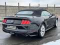 Ford Mustang 5.0 TI-VCT V8 Convertible GT Schwarz - thumbnail 7