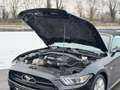 Ford Mustang 5.0 TI-VCT V8 Convertible GT Schwarz - thumbnail 37