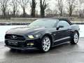 Ford Mustang 5.0 TI-VCT V8 Convertible GT Schwarz - thumbnail 5