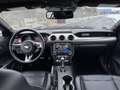 Ford Mustang 5.0 TI-VCT V8 Convertible GT Schwarz - thumbnail 11
