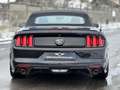 Ford Mustang 5.0 TI-VCT V8 Convertible GT Schwarz - thumbnail 2