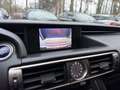 Lexus IS 300 300h Edition Grau - thumbnail 13