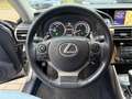 Lexus IS 300 300h Edition Grau - thumbnail 10