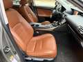 Lexus IS 300 300h Edition Grau - thumbnail 16