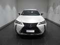 Lexus UX 250h Hybrid Executive Bianco - thumbnail 2